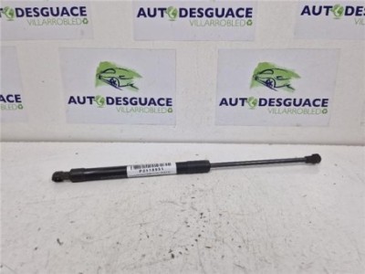 Amortiguador Izquierdo Capo Chevrolet Epica  2 0 LTX [2 0 Ltr  - 110 kW Diesel CAT]