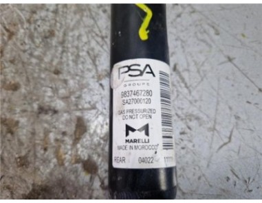 Amortiguador Trasero Izquierdo Opel Corsa F  1 5 GS Line [1 5 Ltr  - 75 kW CDTI DPF]