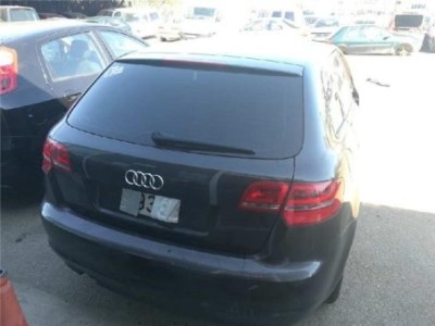 Amortiguador Trasero Derecho Audi A3 SPORTBACK 1 6 TDI  2