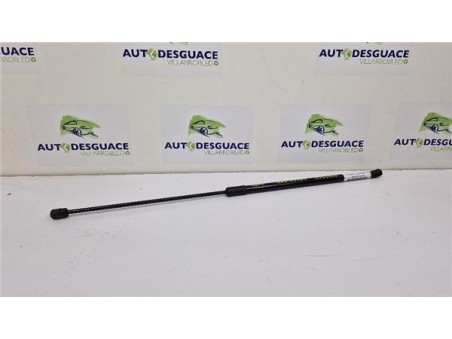 Amortiguador Izquierdo Capo Opel Crossland X  1 2 Design Line [1 2 Ltr  - 81 kW]