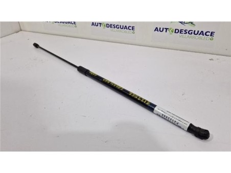 Amortiguador Izquierdo Capo Opel Crossland X  1 2 Design Line [1 2 Ltr  - 81 kW]