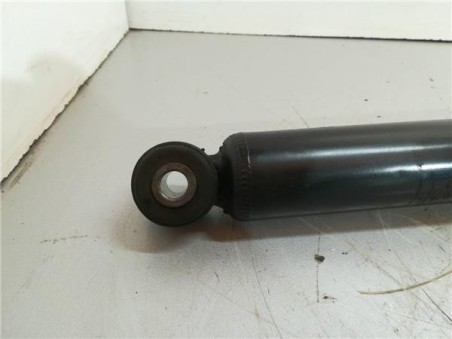 Amortiguador Trasero Izquierdo BMW X3 3 0 Turbodiesel 