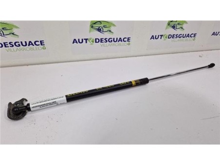 Amortiguador Derecho Capo Lexus RX  3 3 400h [3 3 Ltr  - 155 kW V6 24V CAT]