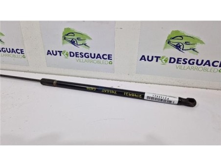 Amortiguador Derecho Capo Volkswagen Passat Berlina  1 8 Advance [1 8 Ltr  - 118 kW 16V TSI]