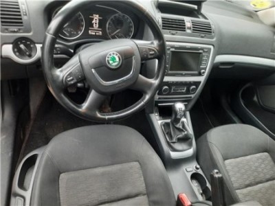 Skoda Octavia Berlina  1 6 Collection [1 6 Ltr  - 77 kW TDI DPF] 2