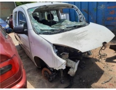 Renault Kangoo II  1 5 Furgón Professional [1 5 Ltr  - 55 kW dCi Diesel FAP]