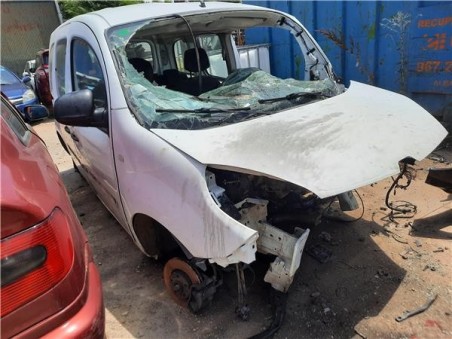 Renault Kangoo II  1 5 Furgón Professional [1 5 Ltr  - 55 kW dCi Diesel FAP]