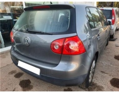 DESPIECE COMPLETO Volkswagen Golf V  1 9 TDI