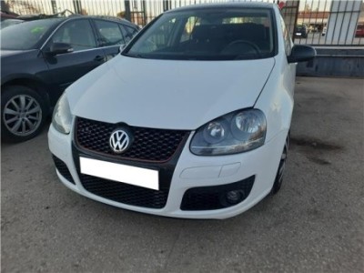 Potenciometro Pedal Gas Volkswagen Golf V  1 9 TDI 2