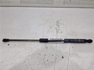 Amortiguador Derecho Capo Renault Arkana  Híbrido R S  Line Fast Track [Híbrido 105 kW E-Tech ] 2