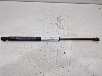 Amortiguador Izquierdo Capo Renault Arkana  Híbrido R S  Line Fast Track [Híbrido 105 kW E-Tech ]