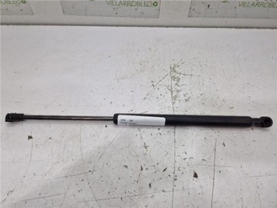 Amortiguador Izquierdo Capo Renault Arkana  Híbrido R S  Line Fast Track [Híbrido 105 kW E-Tech ] 2
