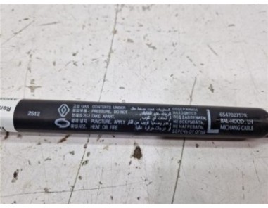 Amortiguador Izquierdo Capo Renault Arkana  Híbrido R S  Line Fast Track [Híbrido 105 kW E-Tech ]