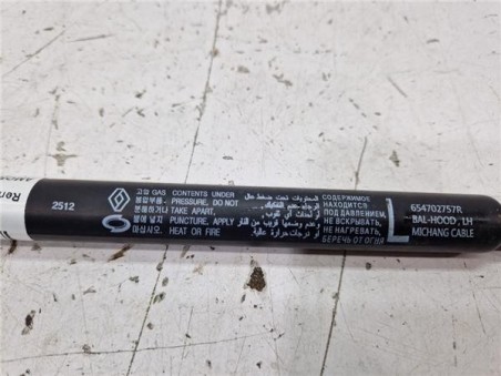 Amortiguador Izquierdo Capo Renault Arkana  Híbrido R S  Line Fast Track [Híbrido 105 kW E-Tech ]