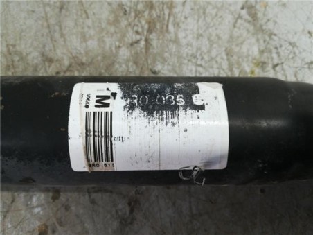 Amortiguador Trasero Izquierdo Audi Q5  2 0 TDI  quattro [2 0 Ltr  - 125 kW 16V TDI]