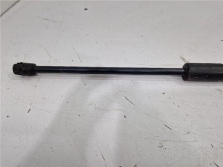 Amortiguador Porton Trasero Izquierdo Ford Kuga  1 5 Trend [1 5 Ltr  - 110 kW EcoBoost CAT ]