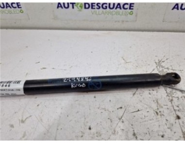 Amortiguador Porton Trasero Izquierdo Ford Kuga  1 5 Trend [1 5 Ltr  - 110 kW EcoBoost CAT ]