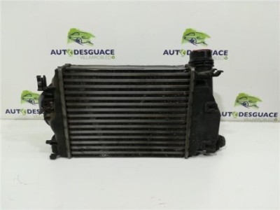 Intercooler Renault Kadjar  1 5 Business Edition [1 5 Ltr  - 81 kW dCi Diesel FAP Energy]
