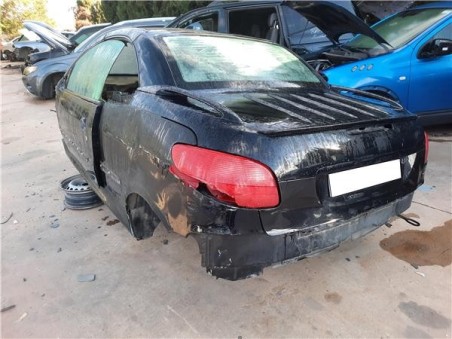 Nucleo Abs Peugeot 206 CC Cabrio-Coupé  2 0 S16