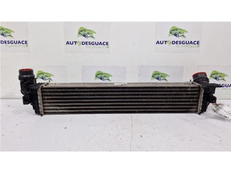 Intercooler Renault Scenic III  1 6 BOSE Edition [1 6 Ltr  - 96 kW dCi Diesel FAP]