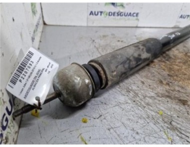 Amortiguador Trasero Derecho Nissan Juke I  1 5 Acenta [1 5 Ltr  - 81 kW Turbodiesel CAT]