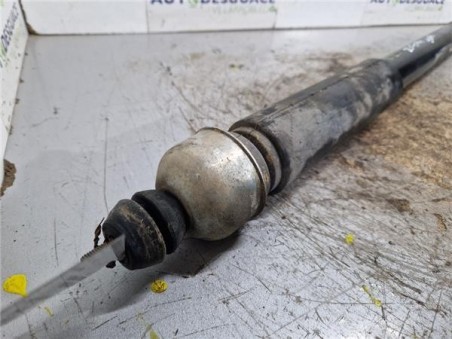 Amortiguador Trasero Izquierdo Nissan Juke I  1 5 Acenta [1 5 Ltr  - 81 kW Turbodiesel CAT]