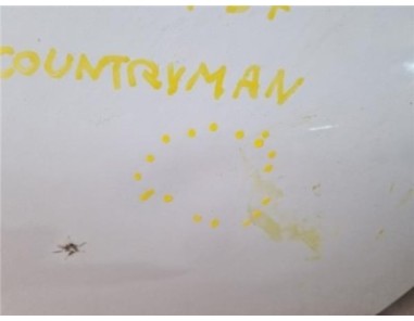 Porton Trasero Mini Countryman  1 6 Cooper D All4 [1 6 Ltr  - 82 kW Diesel CAT]