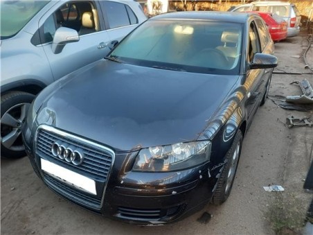 Paragolpes Delantero Audi A3  2 0 TDI 16V