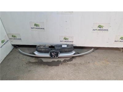 Rejilla Paragolpes Delantero Peugeot 206  1 4 HDi eco 70