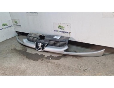 Rejilla Paragolpes Delantero Peugeot 206  1 4 HDi eco 70
