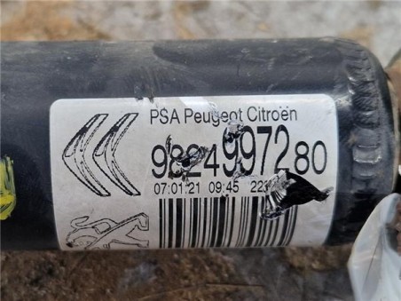 Amortiguador Trasero Izquierdo Citroen C3  1 2 Feel Pack [1 2 Ltr  - 60 kW 12V VTi / PureTech]