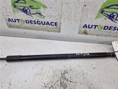 Amortiguador Porton Trasero Derecho Nissan Juke I  1 6 Acenta [1 6 Ltr  - 86 kW 16V CAT]