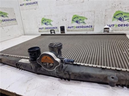 RADIADOR AGUA Nissan Juke I  1 6 Acenta [1 6 Ltr  - 86 kW 16V CAT]