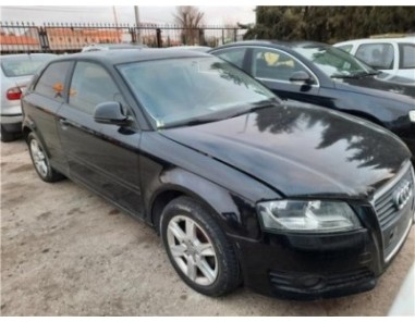 Amortiguador Trasero Izquierdo Audi A3  1 6 TDI Ambiente [1 6 Ltr  - 77 kW TDI]