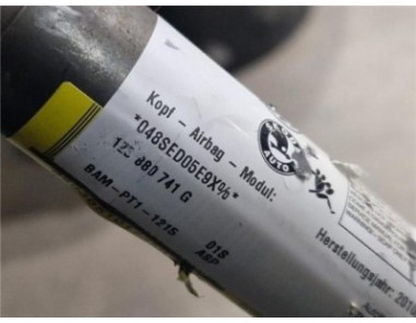 Airbag cortina delantero izquierdo Skoda Octavia Berlina  1 6 Collection [1 6 Ltr  - 77 kW TDI DPF]