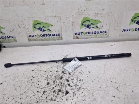 Amortiguador Porton Trasero Derecho Skoda Octavia Berlina  1 6 Collection [1 6 Ltr  - 77 kW TDI DPF]