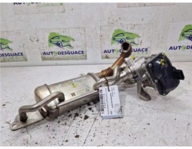 Egr Renault Kangoo II  1 5 Furgón Professional [1 5 Ltr  - 55 kW dCi Diesel FAP]