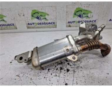 Egr Renault Kangoo II  1 5 Furgón Professional [1 5 Ltr  - 55 kW dCi Diesel FAP]