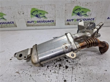 Egr Renault Kangoo II  1 5 Furgón Professional [1 5 Ltr  - 55 kW dCi Diesel FAP]