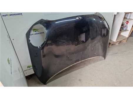 Puente Trasero Renault ESPACE / GRAND ESPACE 2 2 dCi Turbodiesel 