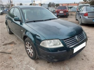 Capo Volkswagen Passat Berlina  1 9 TDI