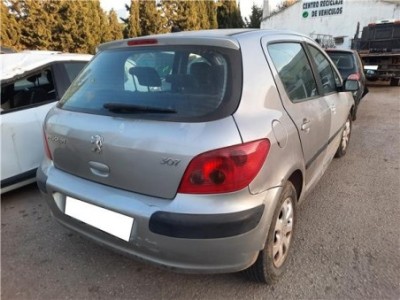 BSM Peugeot 307  1 6 XT [1 6 Ltr  - 80 kW 16V CAT ]