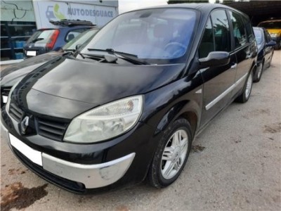 Paragolpes Delantero Renault GRAND SCÉNIC II  1 9 dCi 