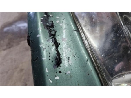 Paragolpes Delantero Peugeot 406 Berlina  2 0 HDI 110