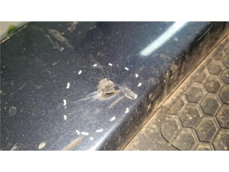 Paragolpes Delantero Volvo S80 Berlina  2 4 D5 Summum [2 4 Ltr  - 136 kW Diesel CAT]