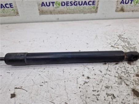Amortiguador Porton Trasero Izquierdo Volkswagen Golf VI  1 6 Advance [1 6 Ltr  - 77 kW TDI DPF]