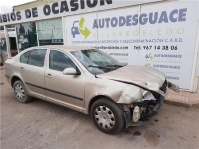Puerta Trasera Izquierda Skoda Octavia Berlina  1 9 TDI