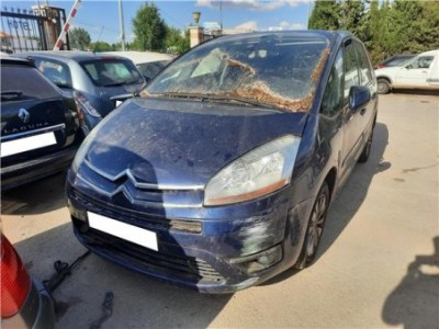 Amortiguador Porton Trasero Izquierdo Citroen C4 Picasso  2 0 HDi