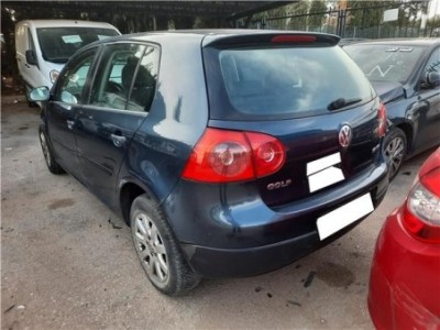 Porton Trasero Volkswagen Golf V  1 6 FSI