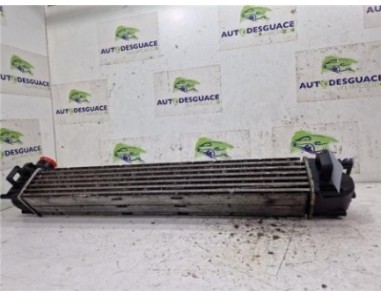 Intercooler Renault Megane III Berlina 5P  1 5 Dynamique [1 5 Ltr  - 78 kW dCi Diesel]